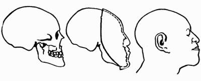 Судьбы вещей - i_046.png