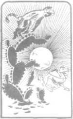 О ловкости и ее развитии - any2fbimgloader2.jpeg