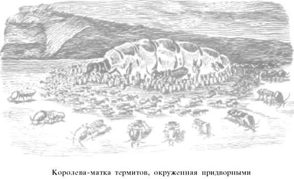 О ловкости и ее развитии - any2fbimgloader35.jpeg