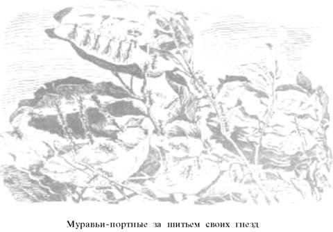 О ловкости и ее развитии - any2fbimgloader36.jpeg