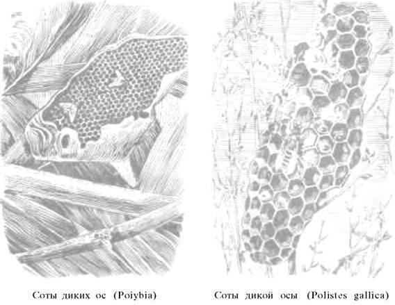 О ловкости и ее развитии - any2fbimgloader37.jpeg