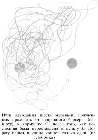 О ловкости и ее развитии - any2fbimgloader38.jpeg