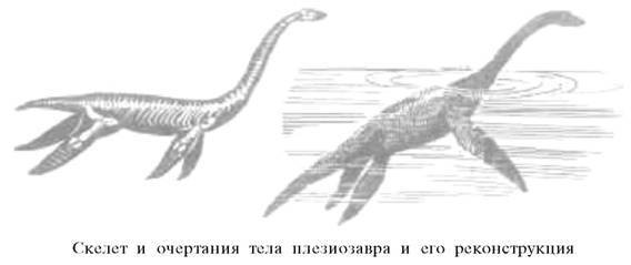 О ловкости и ее развитии - any2fbimgloader56.jpeg