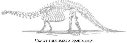 О ловкости и ее развитии - any2fbimgloader59.jpeg