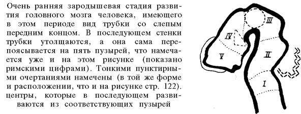 О ловкости и ее развитии - any2fbimgloader76.jpeg