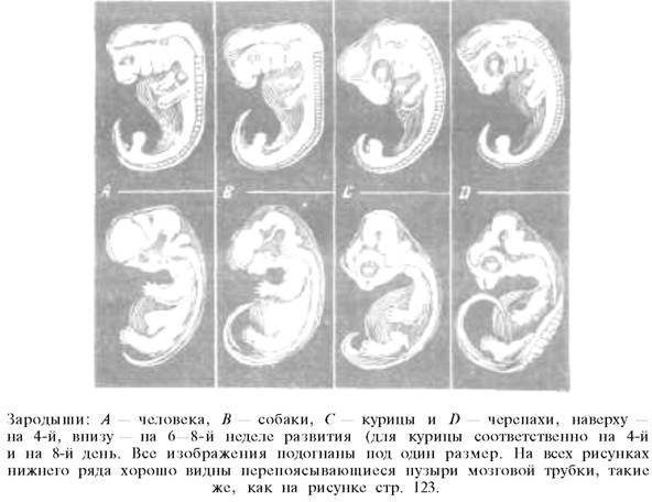 О ловкости и ее развитии - any2fbimgloader77.jpeg