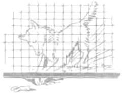 О ловкости и ее развитии - any2fbimgloader109.jpeg