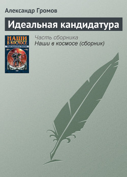 Книга Идеальная кандидатура
