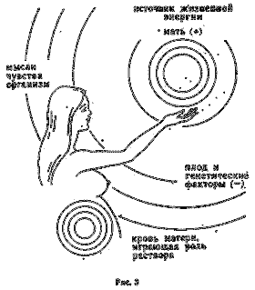 Воспитание в утробе матери, или рассказ об упущенных возможностях - _3.png