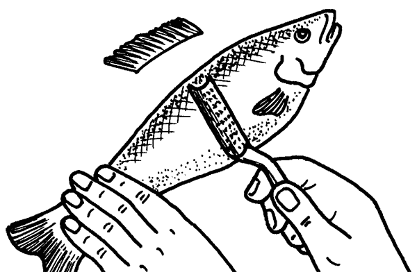 Как сохранить и приготовить рыбу на водоеме и дома - i_013.png