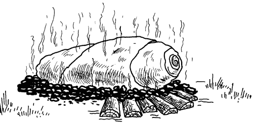 Как сохранить и приготовить рыбу на водоеме и дома - i_034.png