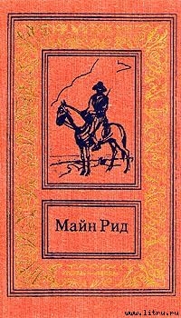 Книга Привидение гризли