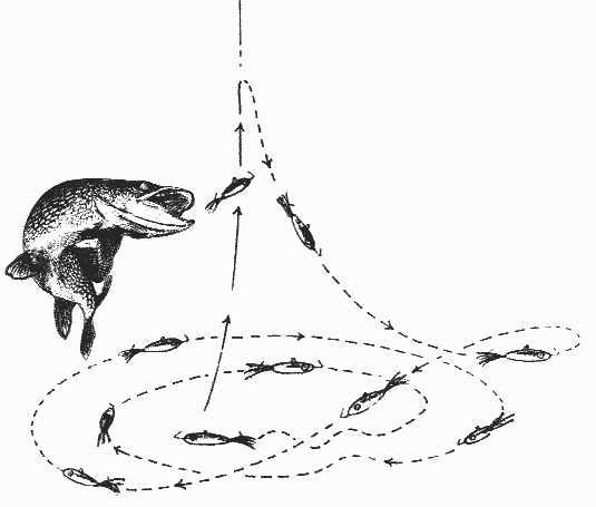 Балансиры и безнасадочные мормышки - i_012.png