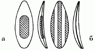 Клёвая книга современного спиннингиста - i_278.png