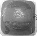 Кружки, жерлицы, поставушки – рыбалка без проколов - i_002.jpg