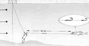 Кружки, жерлицы, поставушки – рыбалка без проколов - i_050.jpg