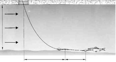 Кружки, жерлицы, поставушки – рыбалка без проколов - i_051.jpg