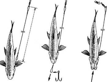 Кружки, жерлицы, поставушки – рыбалка без проколов - i_067.jpg