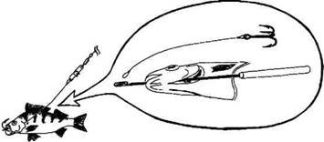 Кружки, жерлицы, поставушки – рыбалка без проколов - i_069.jpg