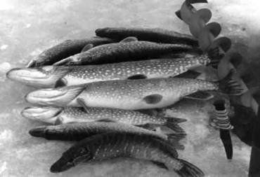 Кружки, жерлицы, поставушки – рыбалка без проколов - i_103.jpg