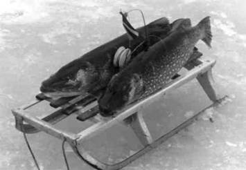 Кружки, жерлицы, поставушки – рыбалка без проколов - i_104.jpg