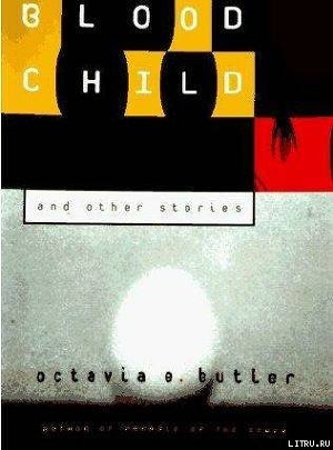 Книга Амнистия