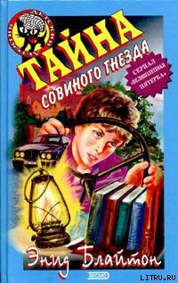 Читать онлайн книгу Тайна совиного холма автор Блайтон Энид Книга Тайна совиного холма