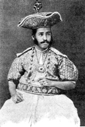 Письма из пещер и дебрей Индостана - i_006.jpg