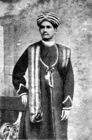 Письма из пещер и дебрей Индостана - i_024.jpg