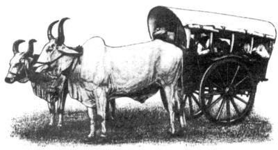 Письма из пещер и дебрей Индостана - i_029.jpg