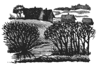 Бухтины вологодские завиральные - i_014.png