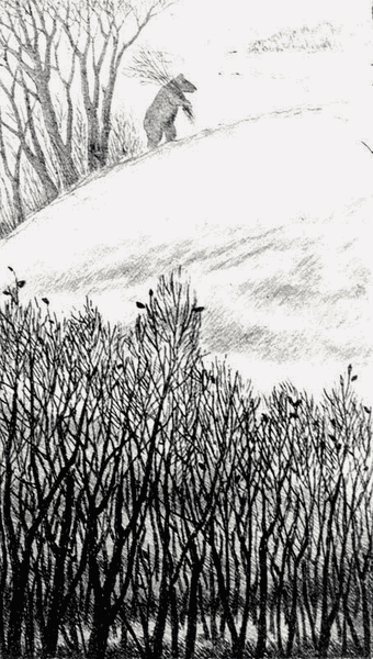 Бухтины вологодские завиральные - i_021.png