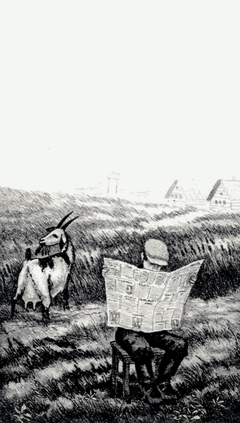 Бухтины вологодские завиральные - i_026.png