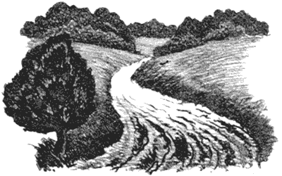 Бухтины вологодские завиральные - i_029.png