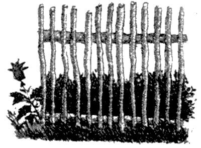 Бухтины вологодские завиральные - i_032.png