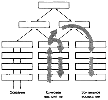 Об интеллекте - i_05.png