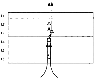 Об интеллекте - i_08.png