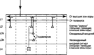 Об интеллекте - i_11.png