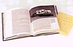 Техника спортивной езды - pic_113.jpg