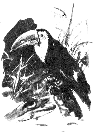 Томек в Гран-Чако - pic09.png