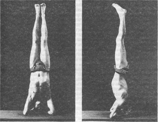 Йога. Искусство коммуникации - image002.jpg