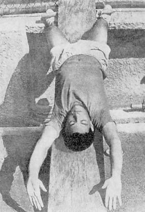 Пеле, Гарринча, футбол… - i_025.jpg