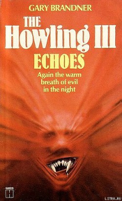 Книга Вой-3: Эхо