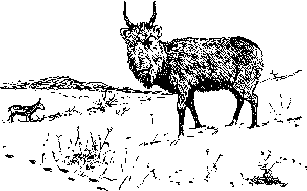 По родному краю - Porod021_.png