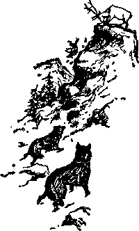 Ущелье барсов - Uschb022_.png