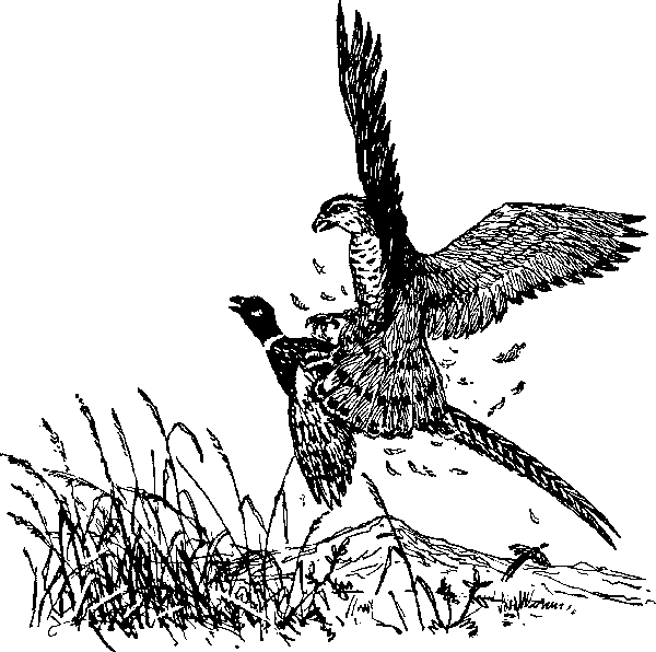 Ущелье барсов - Uschb091_.png