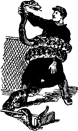 Ущелье барсов - Uschb121_.png