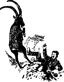 Ущелье барсов - Uschb171_.png