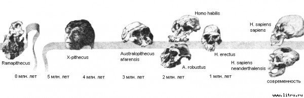 ЧЕЛОВЕК– ты, я и первозданный - any2fbimgloader18.jpg