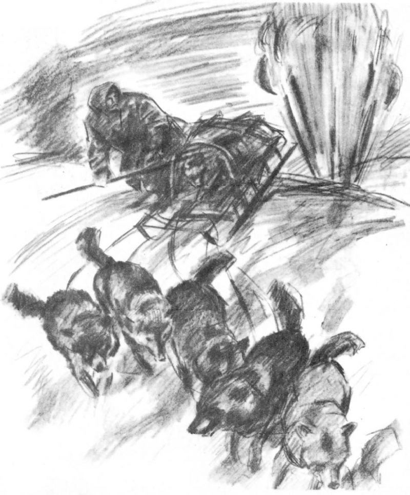 В сводке погоды - SOS - _5.png